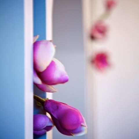 Luminaires et décoration florale du cabinet d'orthodontie du Dr Ohana-Chpindel